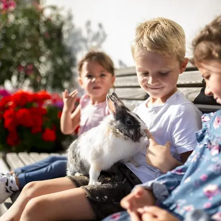 Daire Sporerhof Dolomitenlogen